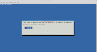 pemilihan web server di linux mint