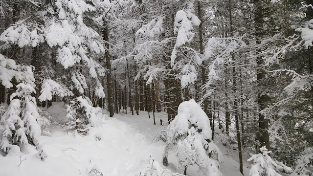 Sentier du lac Bruyère et Le Nordet