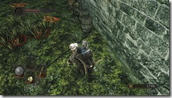 DarkSoulsII 2016-12-25 15-45-02-41