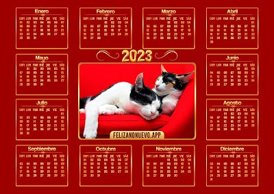 calendarios 2023 de gatos