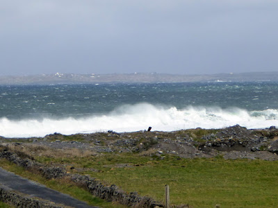 Our Ireland Adventure Day 11 - Aran Island Day Tour 