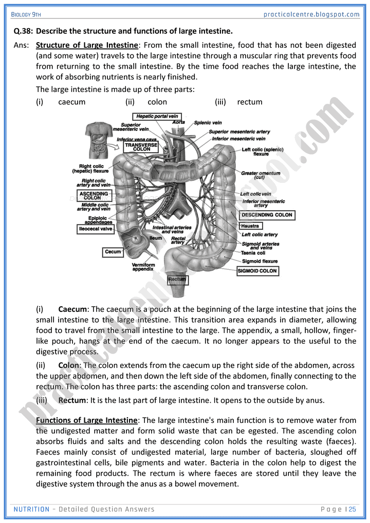 nutrition-detailed-question-answers-biology-9th-notes