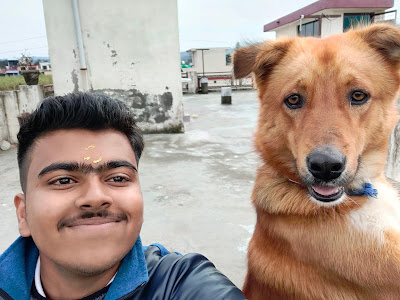 dog taking selfie , selfie with dog