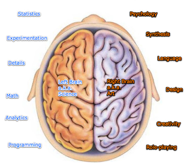 Brain Hemispheres5