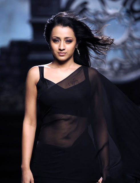 Trisha Krishnan Navel Show Black Saree Hot Pics