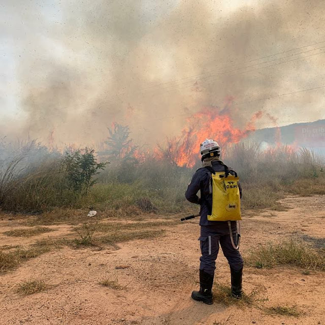 Incêndio em vegetação próximo a um residencial na BR 135 é controlado pelo corpo de bombeiros em Barreiras 