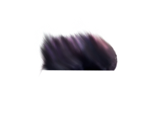 Hair png