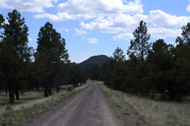 El Caso Peak down a very good road