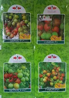 jual benih, tomat, panah merah, benih berkualitas, benih terbaik, harga murah, jarak tanam tomat, toko pertanian, online, lmga agro