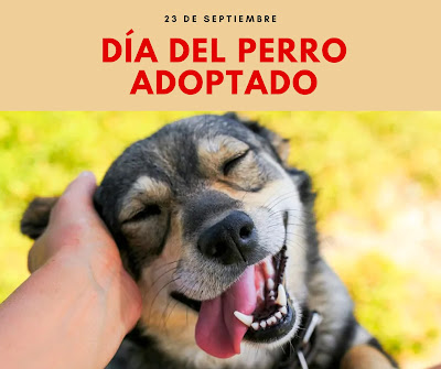 23 de Septiembre :  Día Mundial del Perro Adoptado