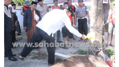 Polda Sulsel Distribusikan 442 Hewan Qurban ke Daerah