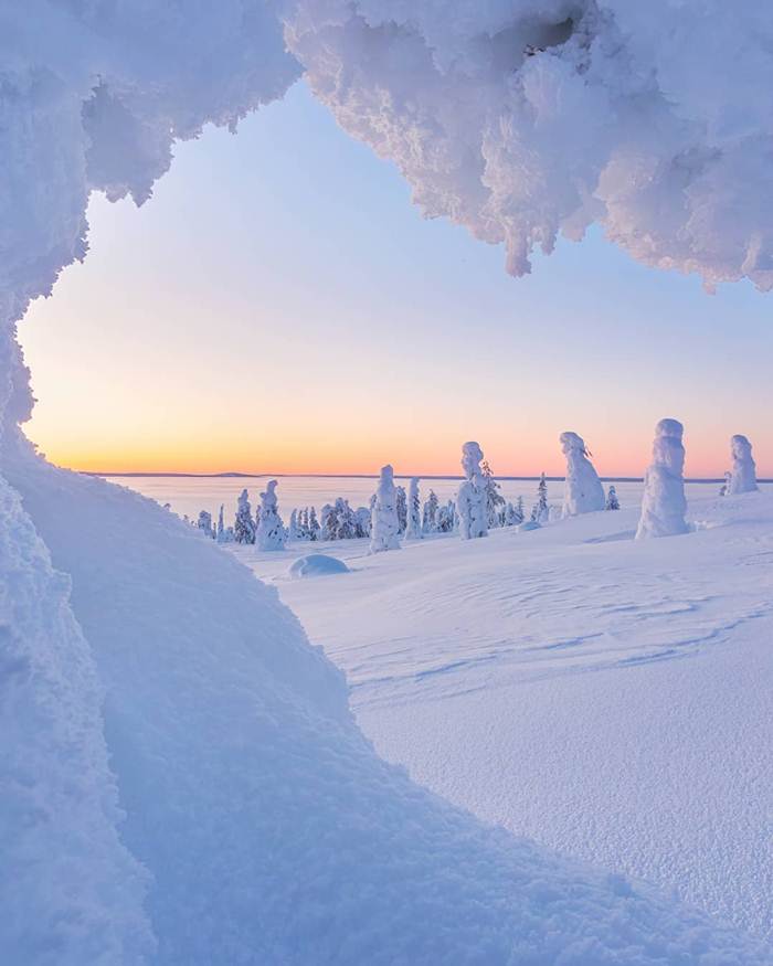 Winter nature of Finland through the lens of Jukka Risikko