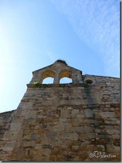 P1020842