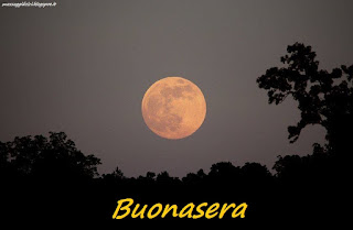 immagini di buonasera