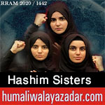 https://www.humaliwalayazadar.com/2012/11/hashim-sisters-nohay-2011-2013.html