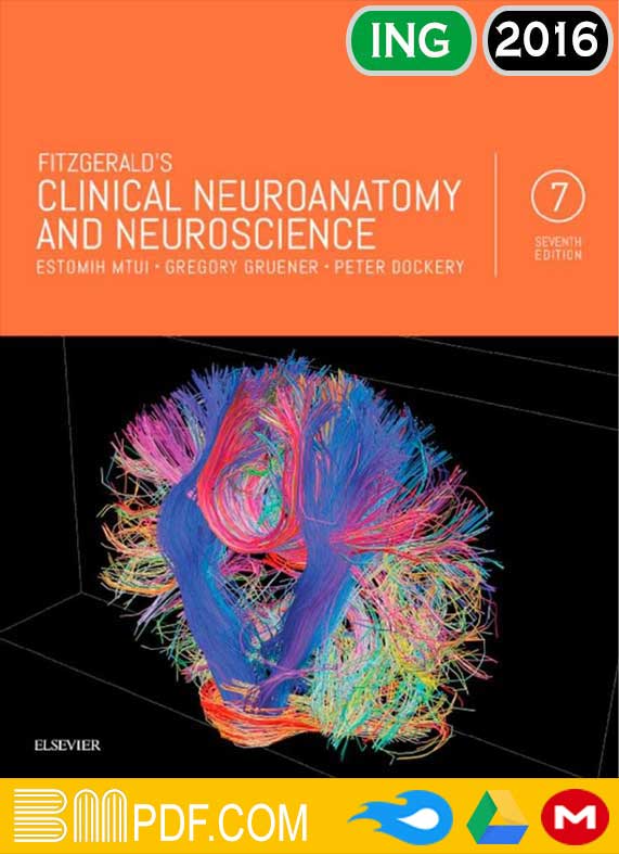 Fitzgerald’s Clinical Neuroanatomy and Neuroscience 7th edition, human anatomy