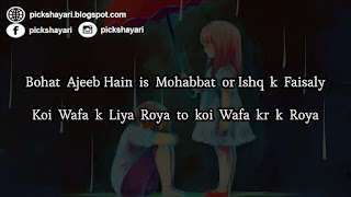 Mohabbat Shayari in English