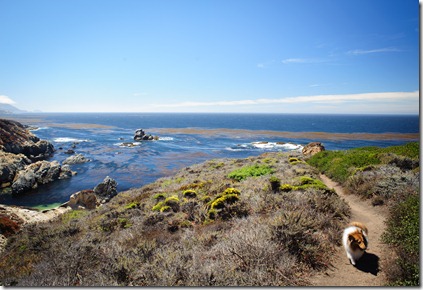 Big_Sur_2013-5