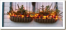 christmas window boxes 09