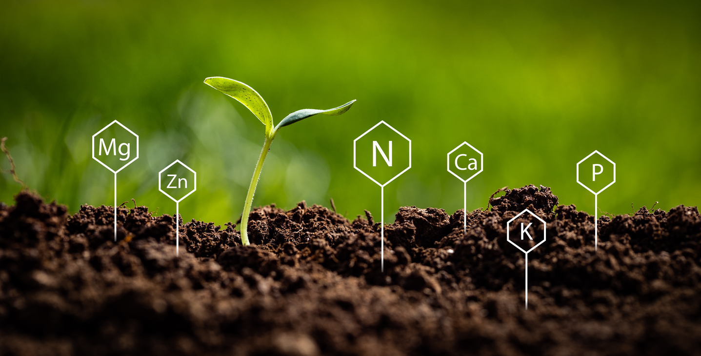 soil health chart