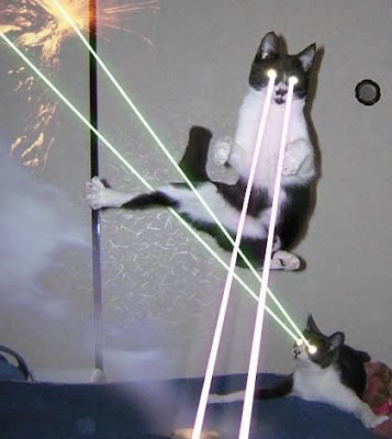 Lasercats