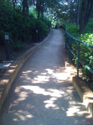 Park Island Beach Path (img )