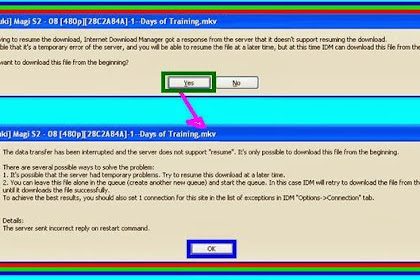 Cara Melanjutkan/Resume Download File Karena Server Error Pada Internet Download Manager