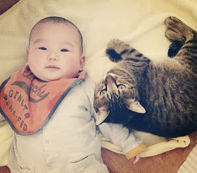 foto kucing bernama toco dan seorang bayi 06