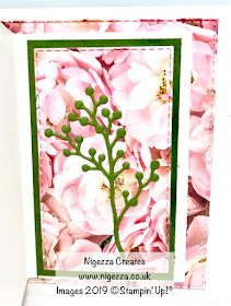 Petal Promanade InspireINK Mothers Day Card Nigezza Creates Stampin Up