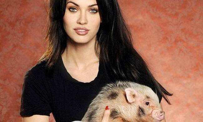 Megan Fox and her mini pig