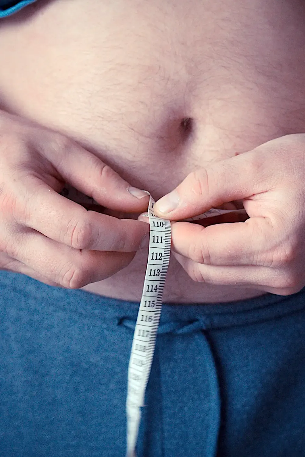 cardiologia dieta obesidade