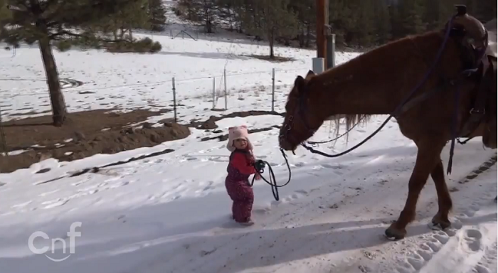 Little Girl Emma and Horse Are Best Friends