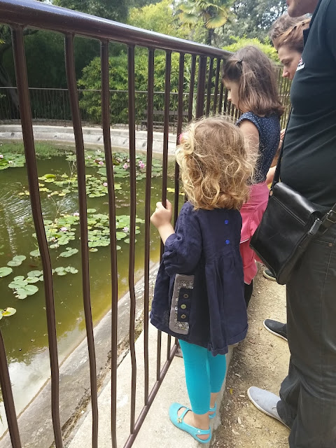 Le parc du Chai du Terral