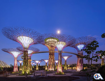 Koran Arsitektur Supertrees Gardens by the Bay Singapura