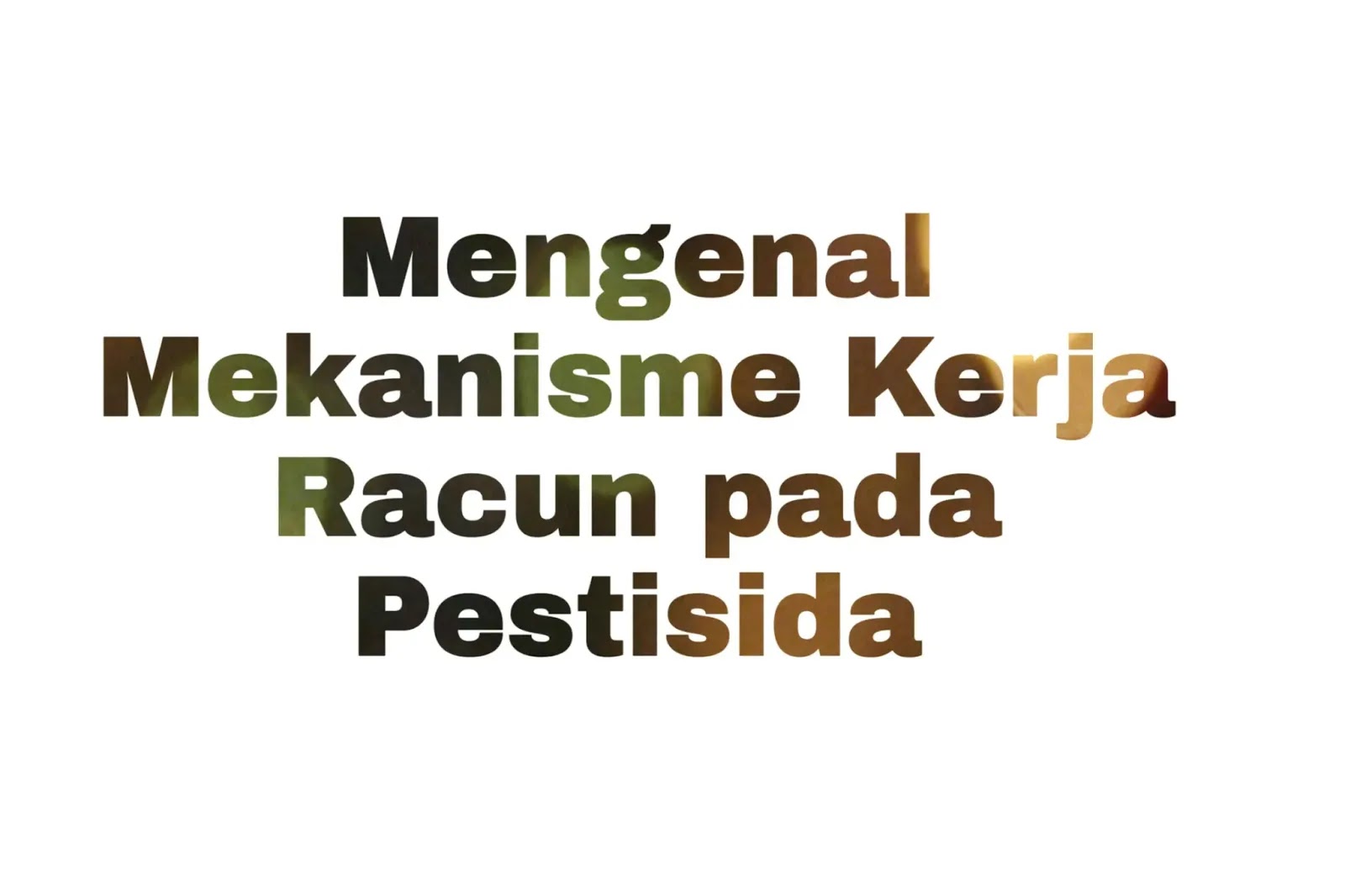 Mengenal mekanisme kerja racun pada pestisida