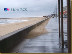 Blog Gazeta de Espinho006Livro MCS