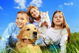 Dog Training South Florida