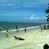 Keindahan Wisata Pantai Tungau