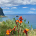 Neulich auf Madeira