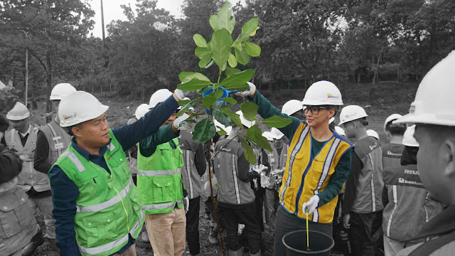 PT Bukit Asam (PTBA) Ubah Lahan Bekas Tambang Jadi Kebun Buah