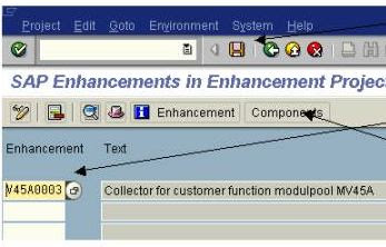 Implementation of SAP User Exits and Customer Exits