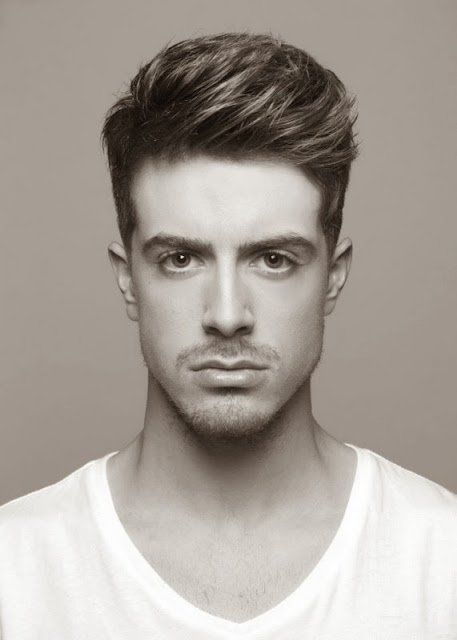 Mens Hairstyles 2013