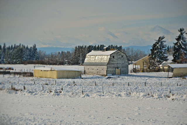 from the car, road pics, commute, first snow, October, cohanmagazine.blogspot.com