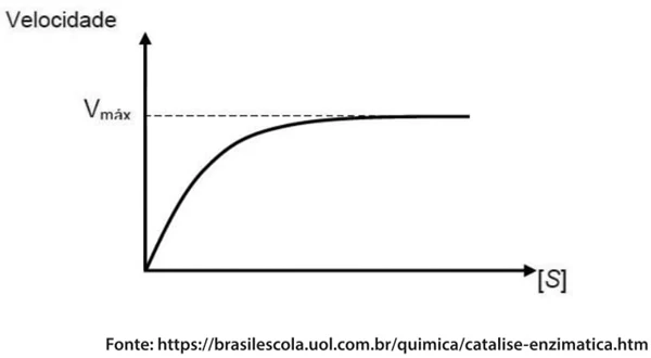 Velocidade