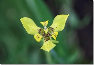 IMG_2529 (Medium)
