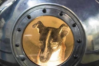 Laika, la perra que fue lanzada al espacio y nunca volvió