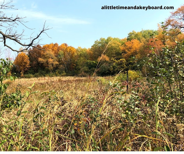 Fall colors enchant at Moraine Hills State Park.