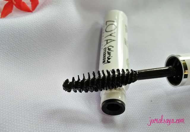 zoya coloring eyebrow black