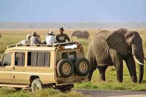 Tailor-Made Safari Packages Kenya For The Best Experience 