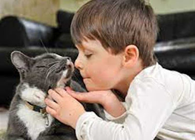 فوائد تربية الحيوانات الأليفة للأطفال اضرار على الاطفال طفل يلعب مع قطة boy child play with cat